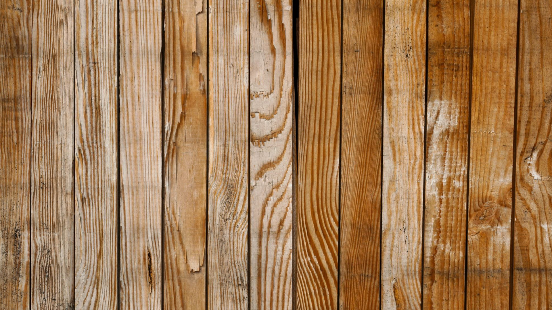 header-banner
